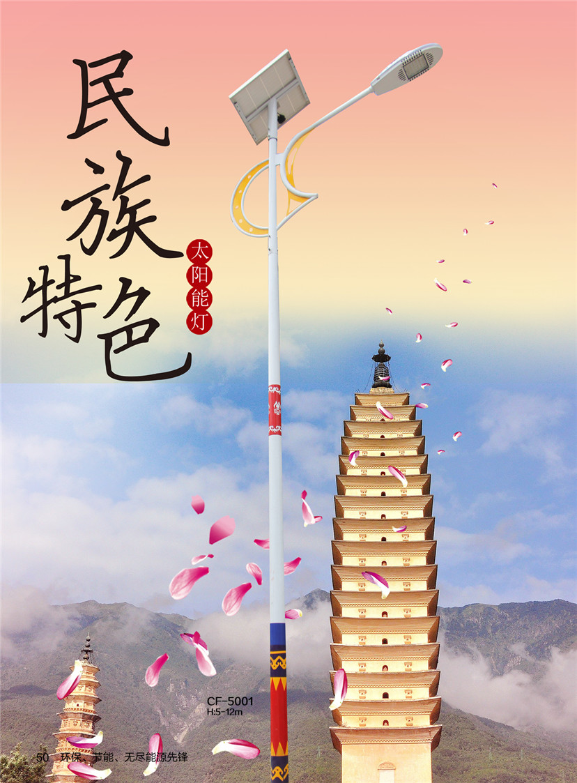 特色太阳能路灯01