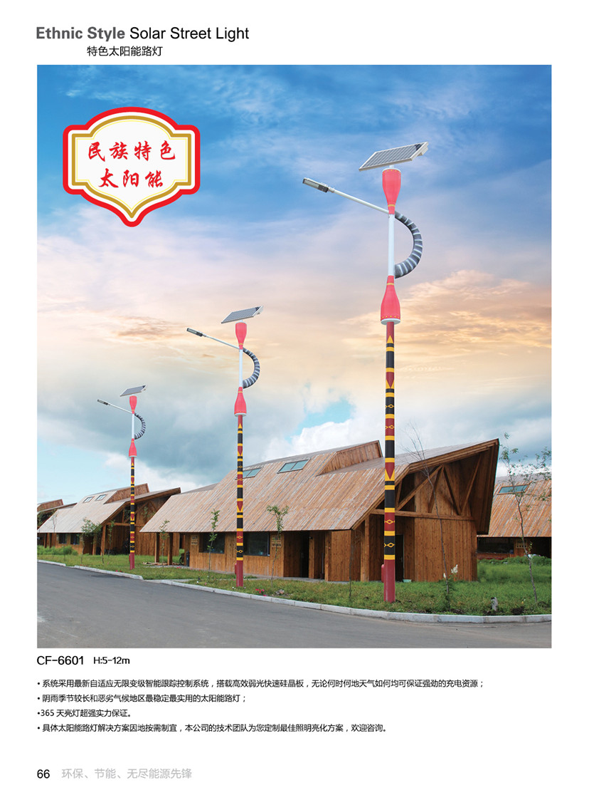 特色太阳能路灯09